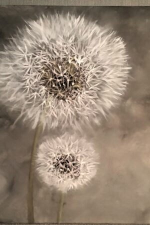 peinture-fleur-pissenlit