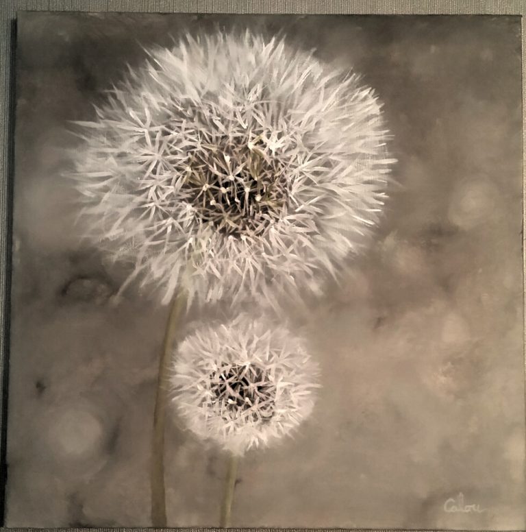 peinture-fleur-pissenlit