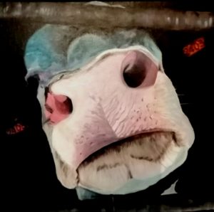 art animalier toile acrylique - animal