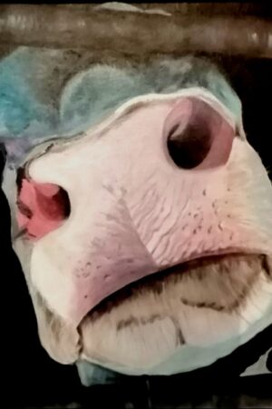 art animalier toile acrylique - animal