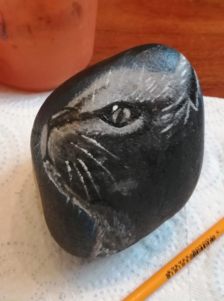 peinture pierre-galet-caillou animaux chat noir et blanc