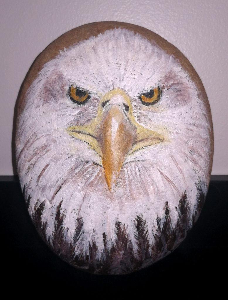 peinture pierre-galet-caillou animaux tete d 'aigle