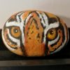 peinture pierre caillou animaux yeux de tigre